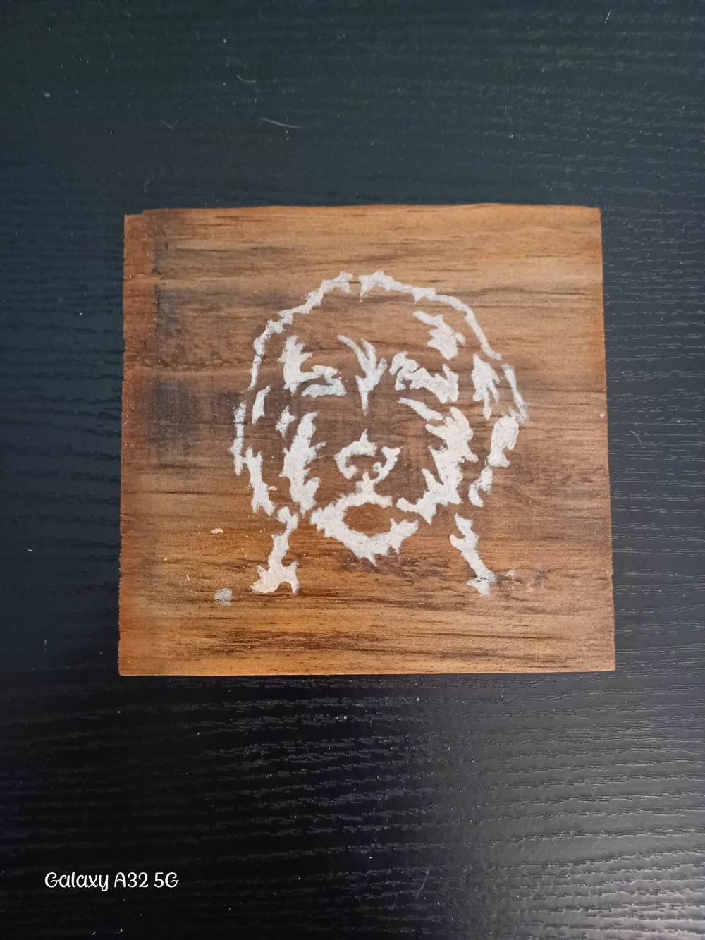 Wooden Dog Coaster Set in Brown - Rustic Pet Accent